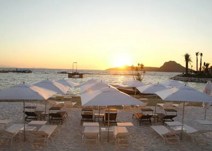 Отель Yalikavak Marina 4*